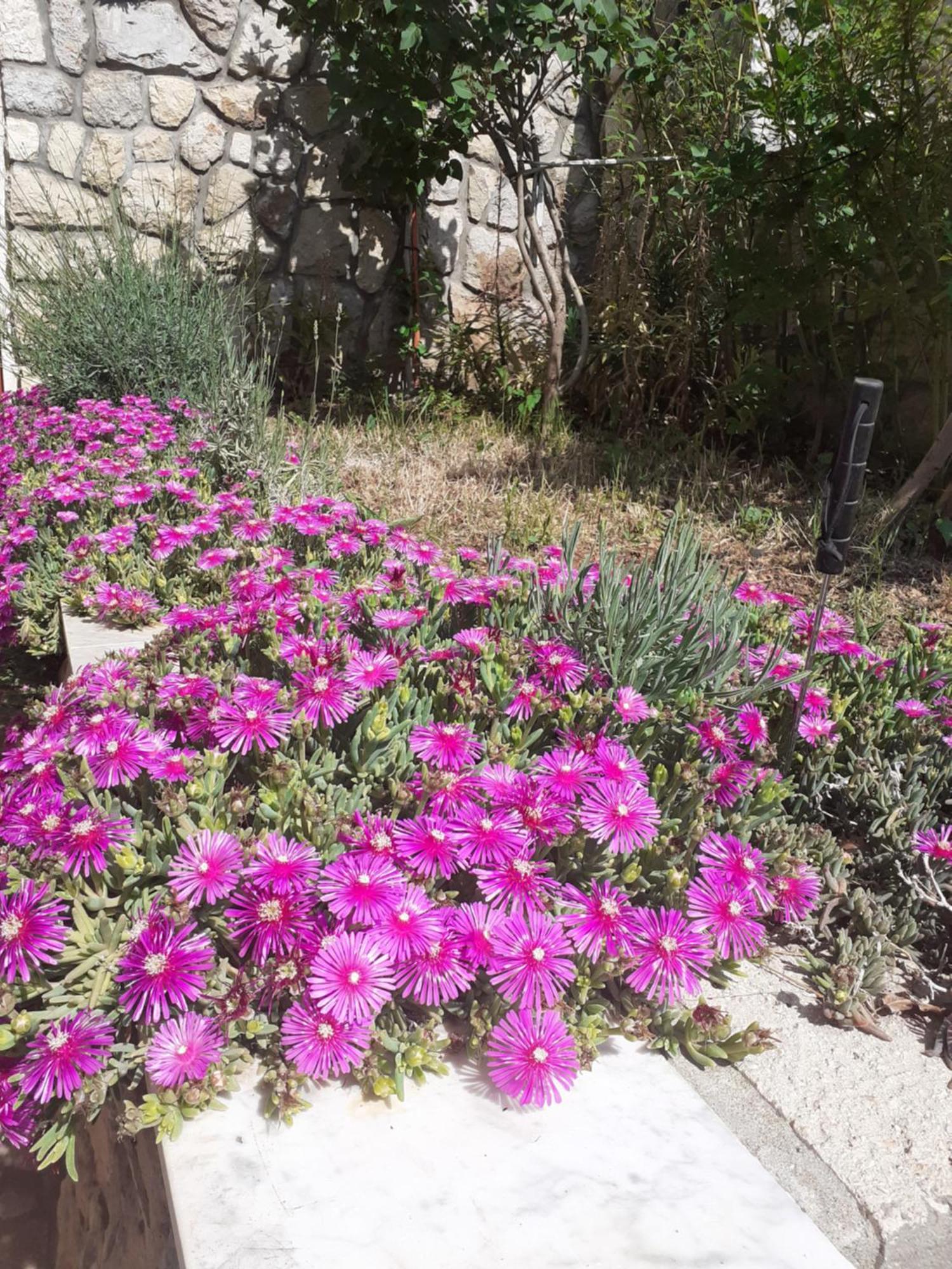 Dada Leilighet Senj  Rom bilde